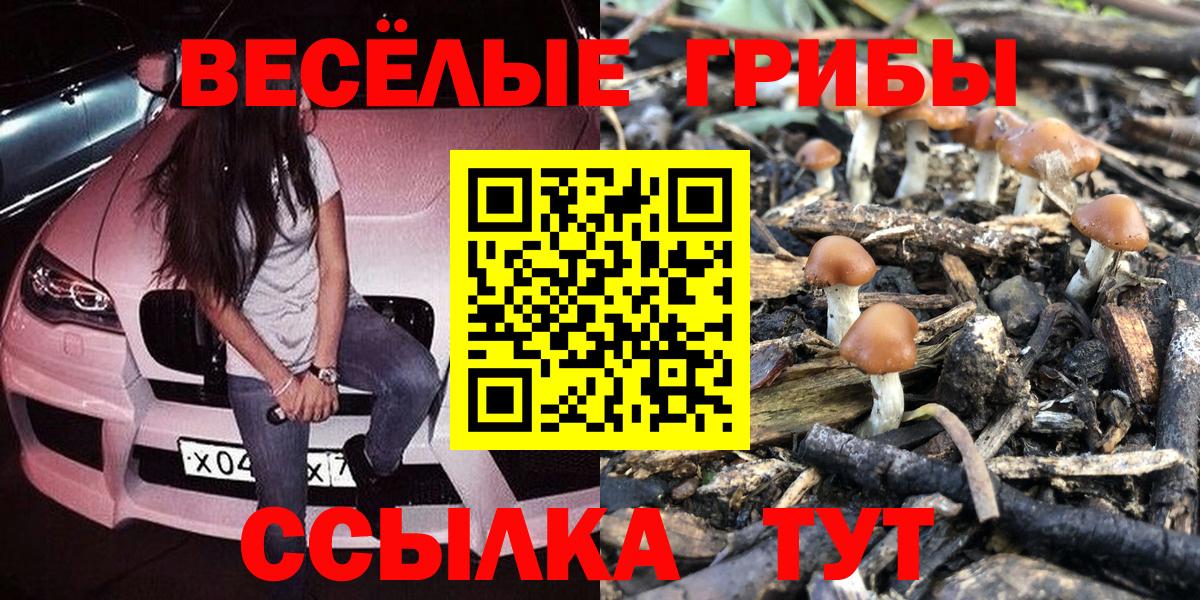 Новочебоксарск  Галлюциногенные грибы GOLDEN TEACHER  закладка  Псилоцибиновые грибы ЛСД  Вход с VPN 